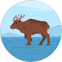Lucile P profile picture